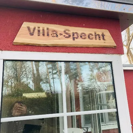Specht